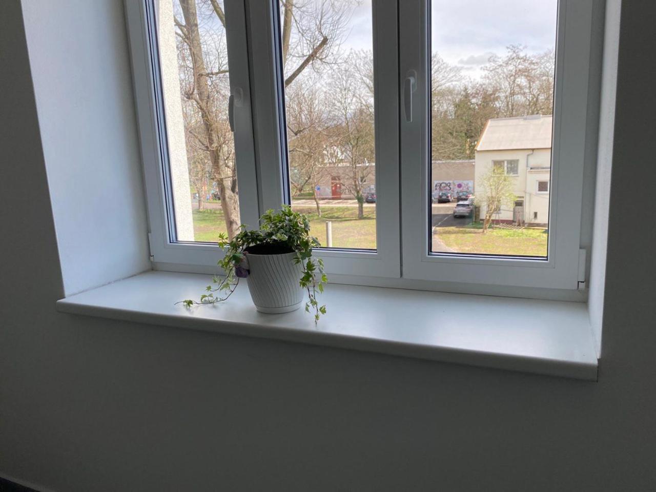 Perla Hradce 101 Apartman Hradec Králové Kültér fotó